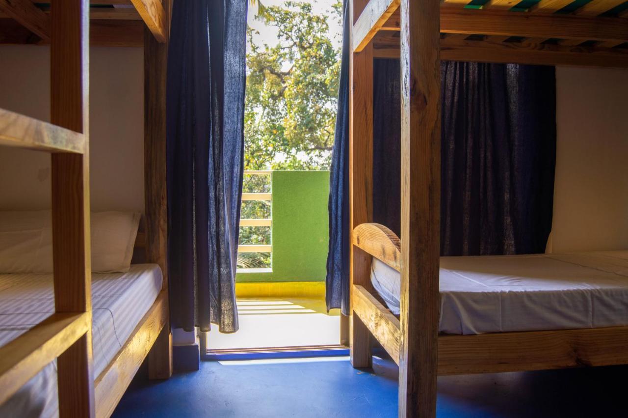 Green Nest Hostel, Baga- North Goa Arpora Exterior photo